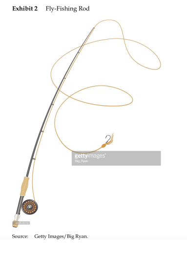 fly fishing rod
